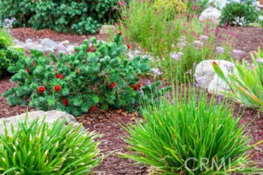 39631 Clos Du Val Photo