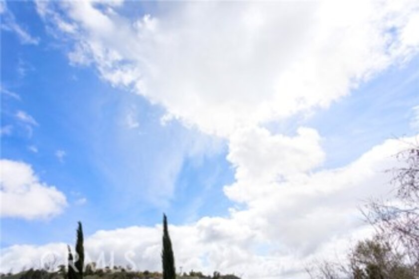 26539 Mahonia Way Photo