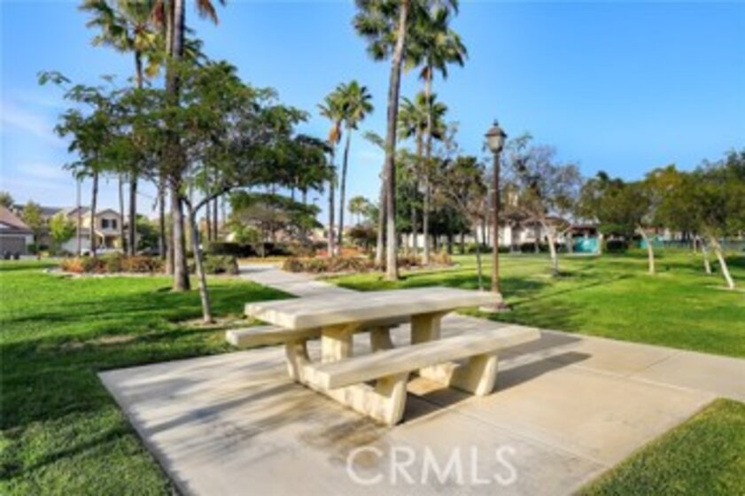 31268 Brush Creek Circle Photo