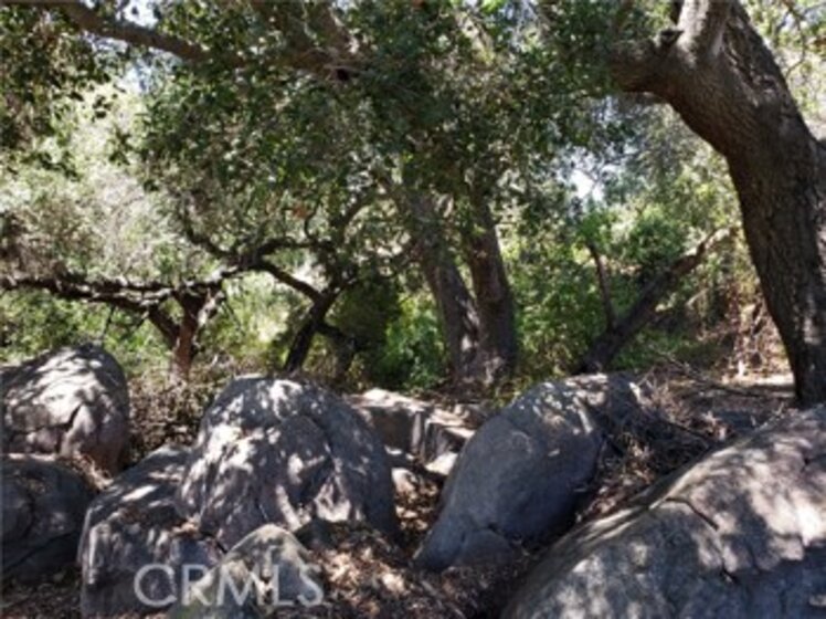 44050 El Prado Road Photo