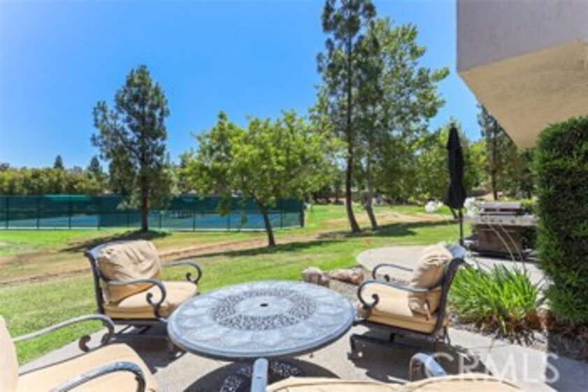 22820 Sailfish Photo