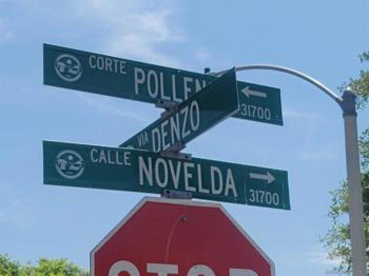 31751 Calle Novelda Photo