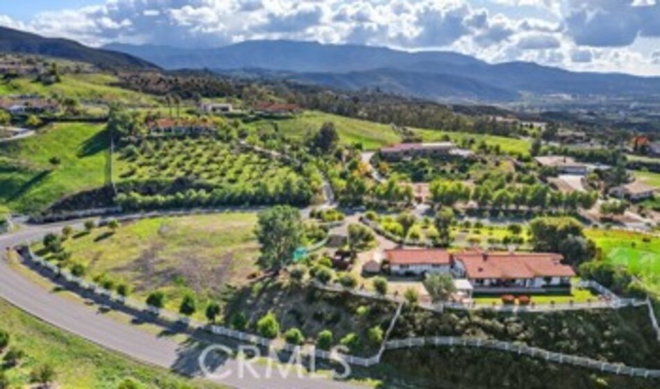 40951 Parado Del Sol Photo