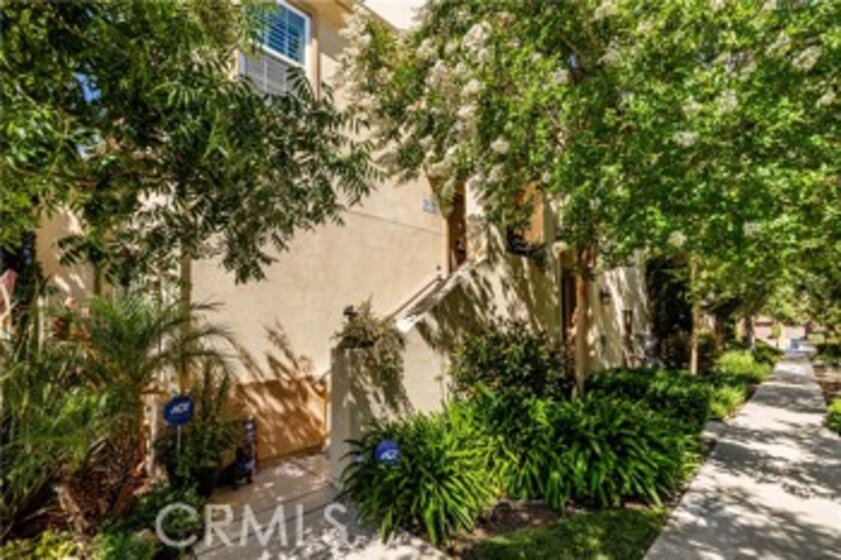 31120 Black Maple Drive Photo