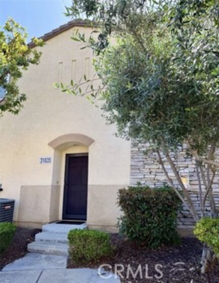 31035 Strawberry Tree Photo