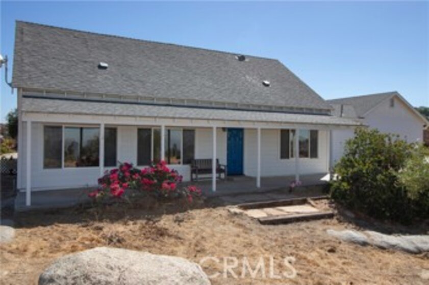 39330 Gray Squirrel Photo