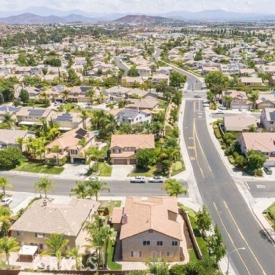 26190 Palm Tree Lane Photo