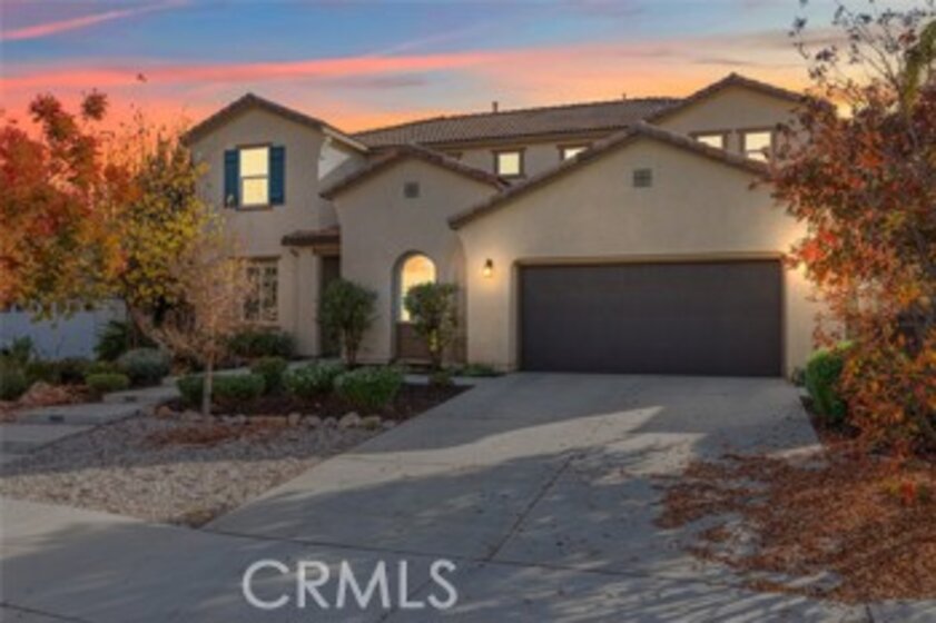 30517 Copper Rose Photo