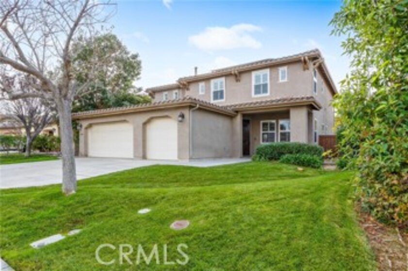 45023 Silver Rose Photo