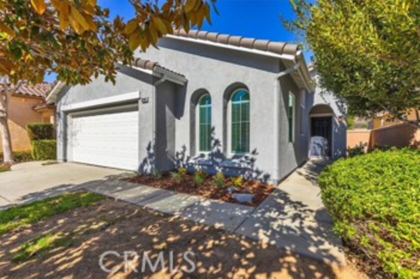 28184 Meadowsweet Photo