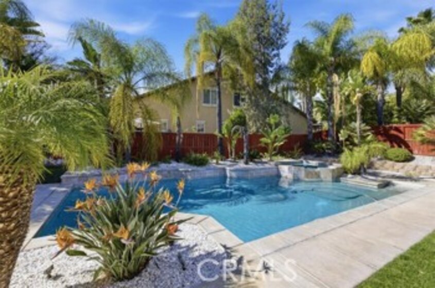 36849 Wax Myrtle Photo