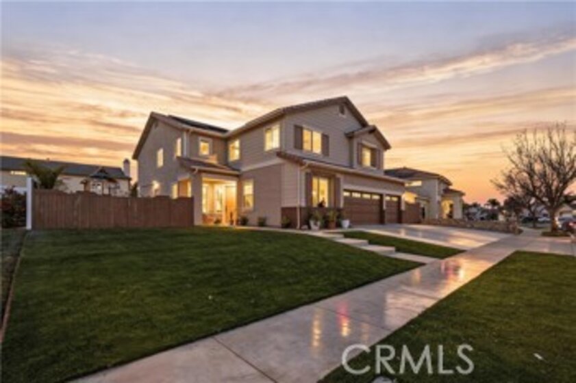 33671 Marigold Photo