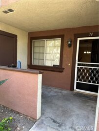 74 Flor De Sol #53 Photo