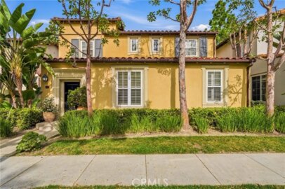 117 White Flower Photo