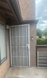 1555 Border #F Photo