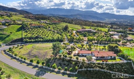 40951 Parado Del Sol Photo