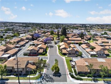 7770 Blue Spruce Photo