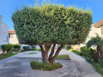 2521 W W Sunflower Avenue #T2 Photo