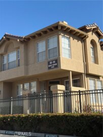 94 Night Heron Photo