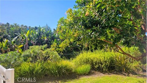 34146 Selva Road #198 #198 Photo