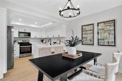 29 Carnation #64 Photo