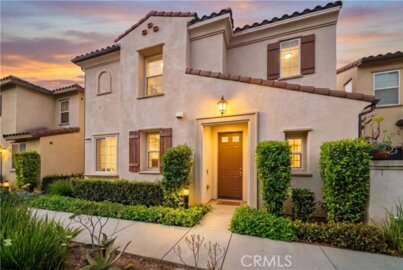 208 W Cork Tree Photo