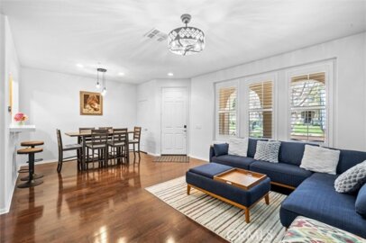 40042 Cape Cod Photo