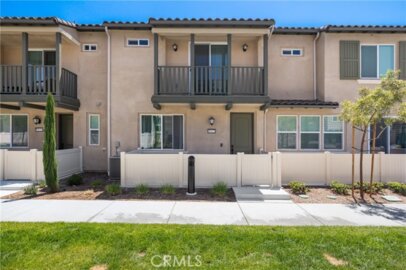39422 Corvina Photo