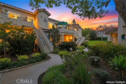 102 Cinnamon Teal Photo