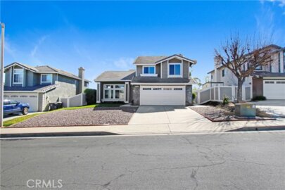 26730 Black Horse Photo