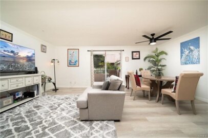 #114 Westminster Photo