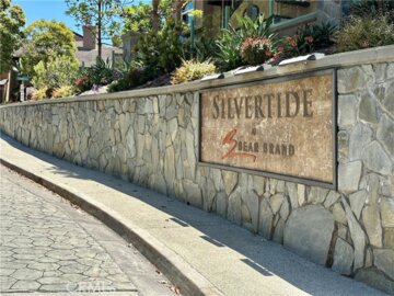 5 Silvertide Photo