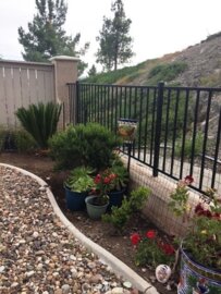 29351 Quaking Aspen Way Photo