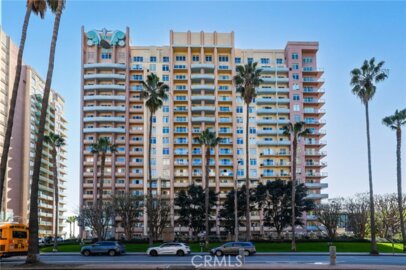 388 E Ocean Boulevard #305 Photo
