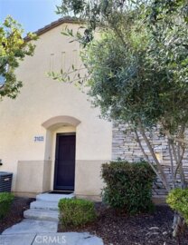 31035 Strawberry Tree Photo