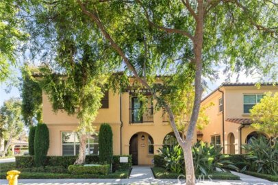 102 Rose Arch Photo