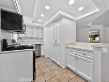 8958 Palika Photo