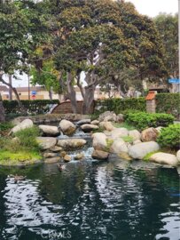 4861 Lago #206 Photo