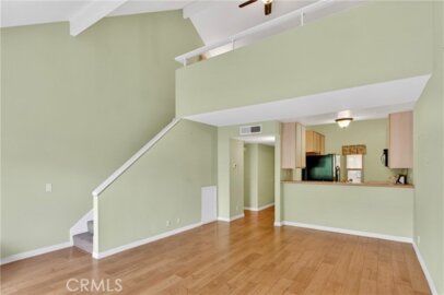 143 Orange Blossom #113 Photo