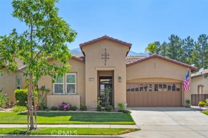 24571 Pine Photo