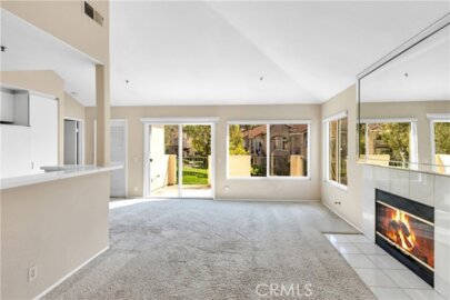 154 Cinnamon Teal Photo