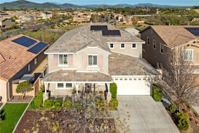 31784 Desert Holly Photo