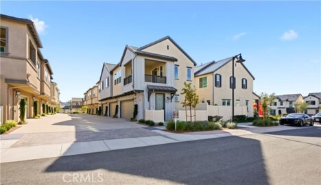 32609 Brunello Photo