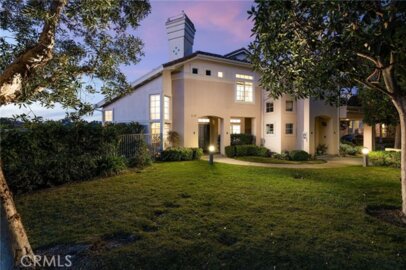 39 Shorebreaker Photo