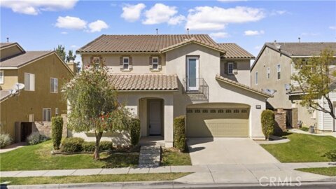 25122 Cliffrose Photo