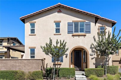 41461 Winterberry Photo
