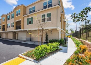 2822 Juniper Berry Photo