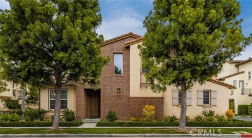 235 Tall Oak Photo