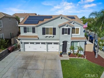 23632 Coast Live Oak Photo