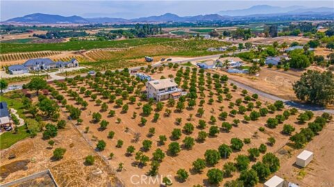 33851 Madera De Playa Photo